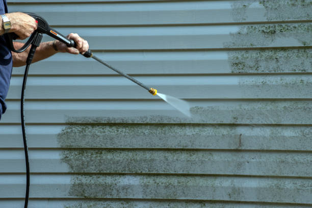 Best Roof Pressure Washing  in Medina, MN