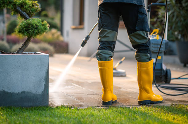 Best Pressure Washing Near Me  in Medina, MN